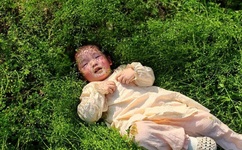 2020亚洲 欧美 国产 日韩